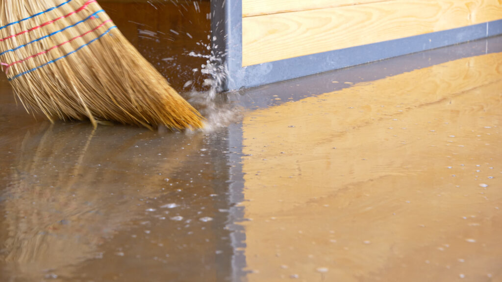 how to get rid of standing water in basement