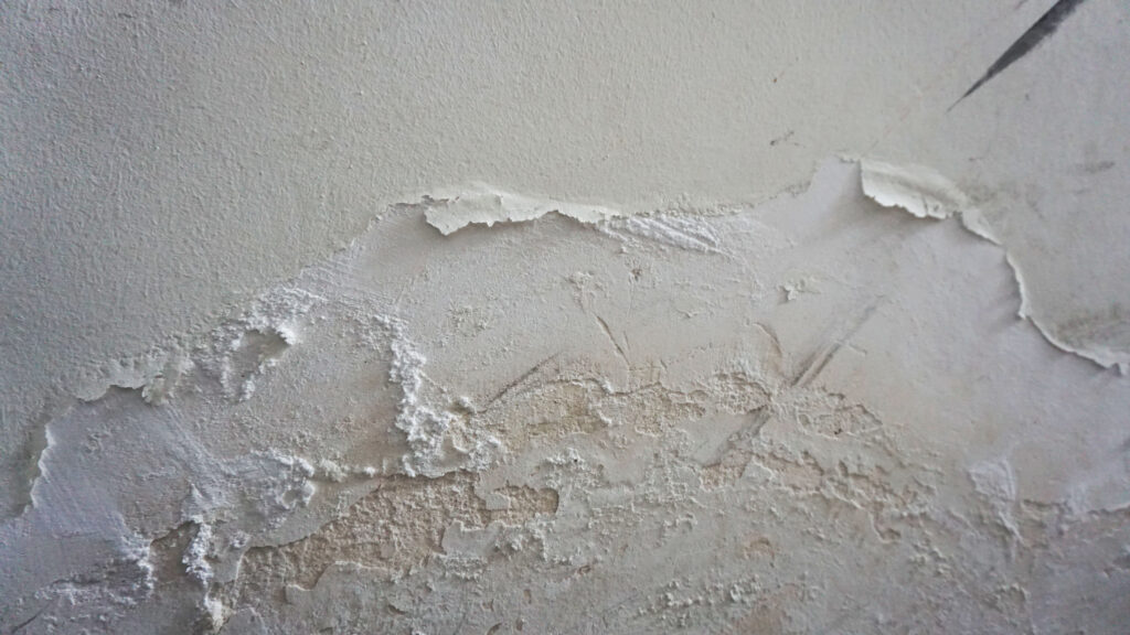how to get rid of moisture in basement walls