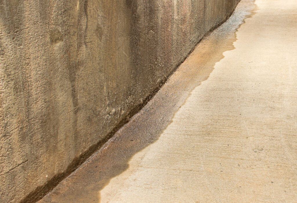 damp basement waterproofing solution in Warminster