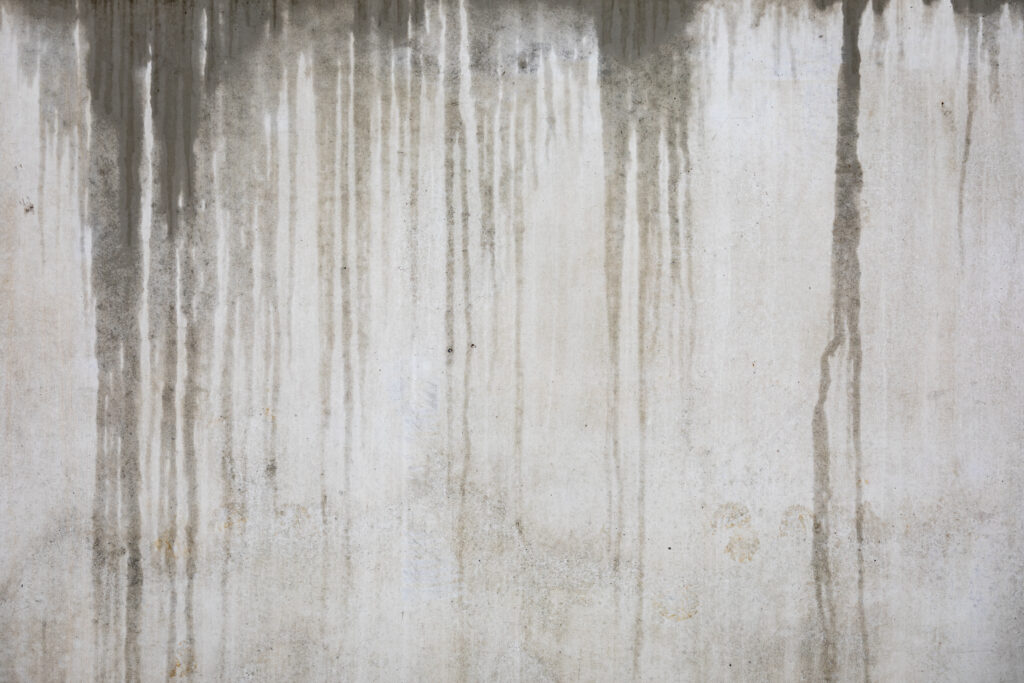 basement walls sweating