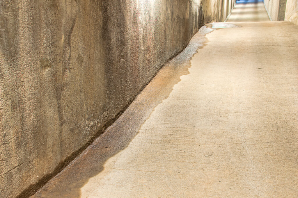 standing water near basement walls