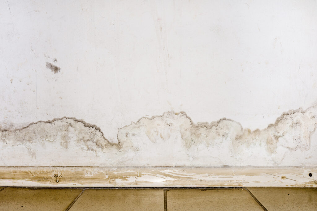 long-term damage from basement water